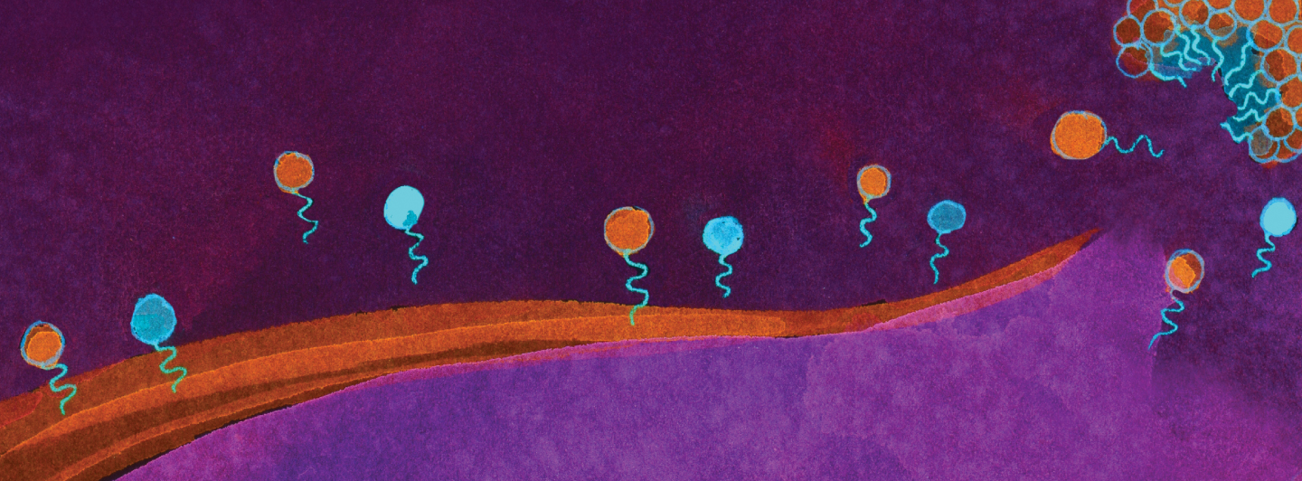 lipids forming a membrane with purple background