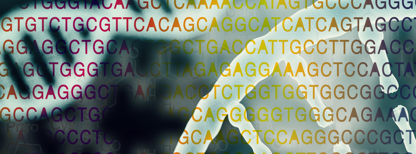 DNA double helix with nucleobase overlay