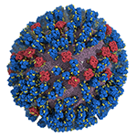 H1N1-Mich2015_virion.png